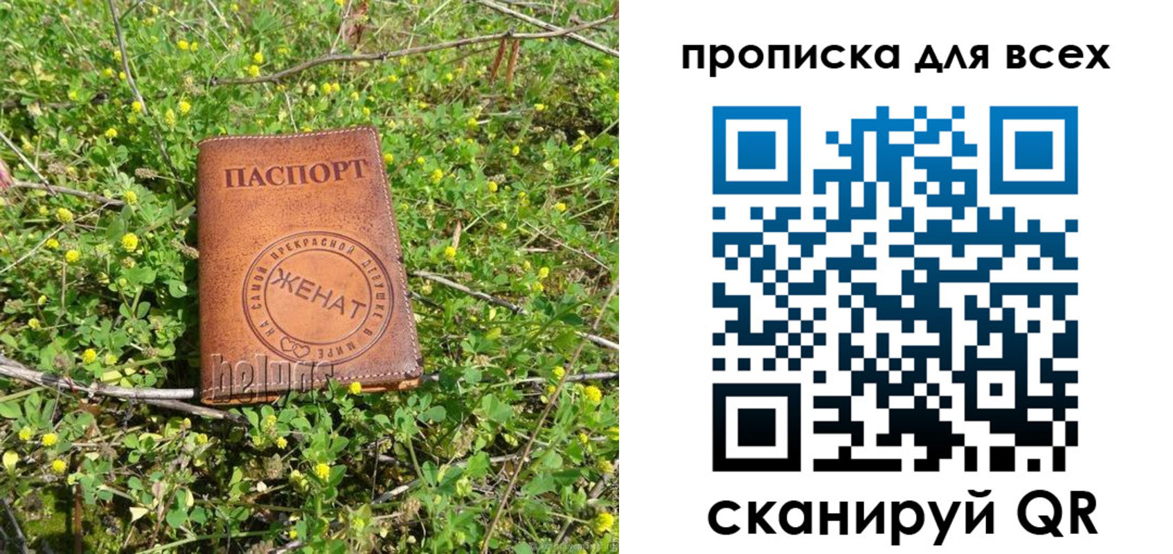 прописка поиск в Миньяре